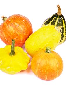 Squash And Pumpkins Stock Image Squash And Pumpkins Stock Image