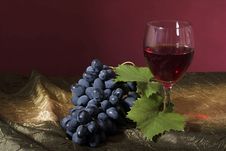 Grapes And Wine Stock Photos