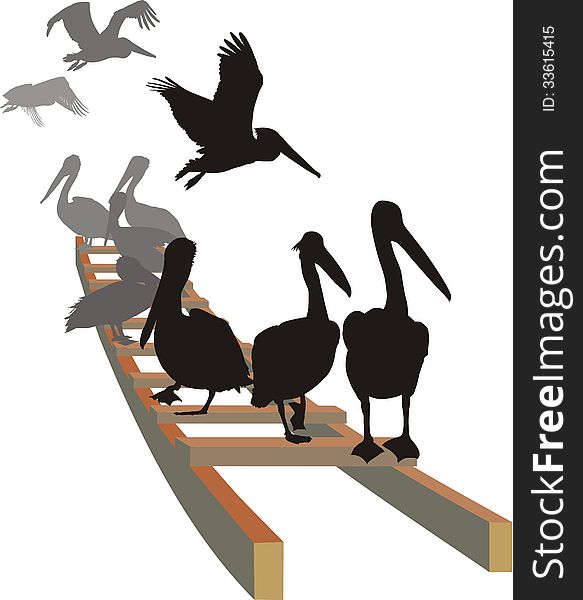 vector llustration pelicans seated and landing on the ladder. vector llustration pelicans seated and landing on the ladder