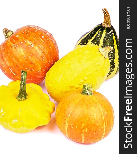 Heap of Yellow and Orange Miniature Squash and Pumpkins closeup on white background