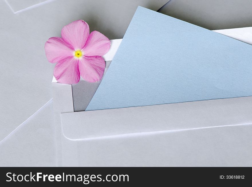 A pink flower over a sticky note having space to fill your text. A pink flower over a sticky note having space to fill your text