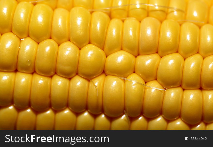 Large Image Of Corn