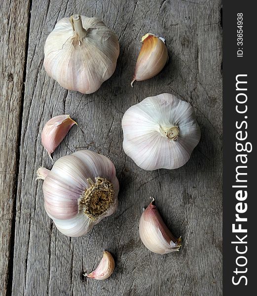 Garlic The Herb