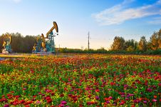 Oil Pumping Machine On Garden Stock Photo Oil Pumping Machine On Garden Stock Photo