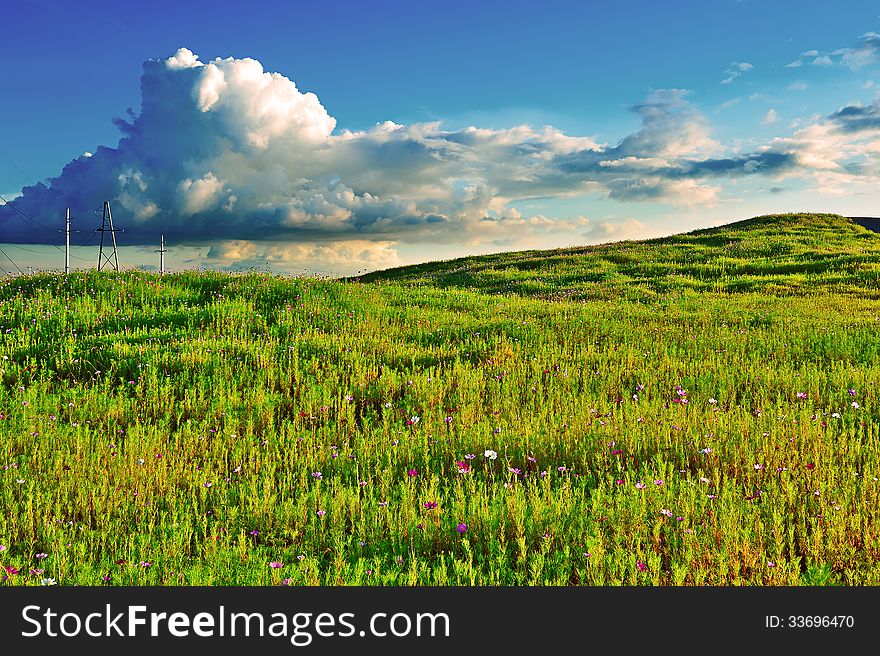 The evening grassland