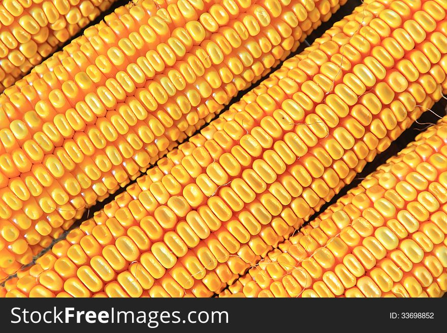 Close up of dry corn. Close up of dry corn