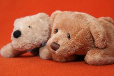 Teddy Bears 1 Stock Photos Teddy Bears 1 Stock Photos