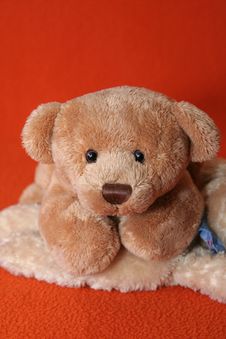 Teddy Bears 10 Royalty Free Stock Photo