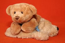 Teddy Bears 11 Royalty Free Stock Image Teddy Bears 11 Royalty Free Stock Image