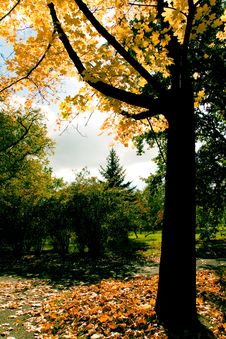 Autumn Colors Stock Image Autumn Colors Stock Image