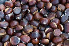 Raw Chestnuts.a Close Up Shot. Royalty Free Stock Photos Raw Chestnuts.a Close Up Shot. Royalty Free Stock Photos