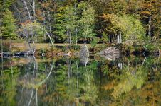 Pond Tree Reflections Stock Photos Pond Tree Reflections Stock Photos