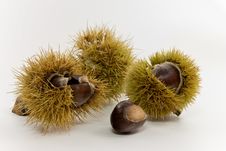 Raw Chestnuts.a Close Up Shot Stock Photos Raw Chestnuts.a Close Up Shot Stock Photos