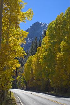 Mountain Road In Fall Splendor Stock Image