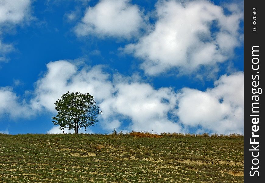 Landscape with a tree in Vojvodina, Serbia. Landscape with a tree in Vojvodina, Serbia