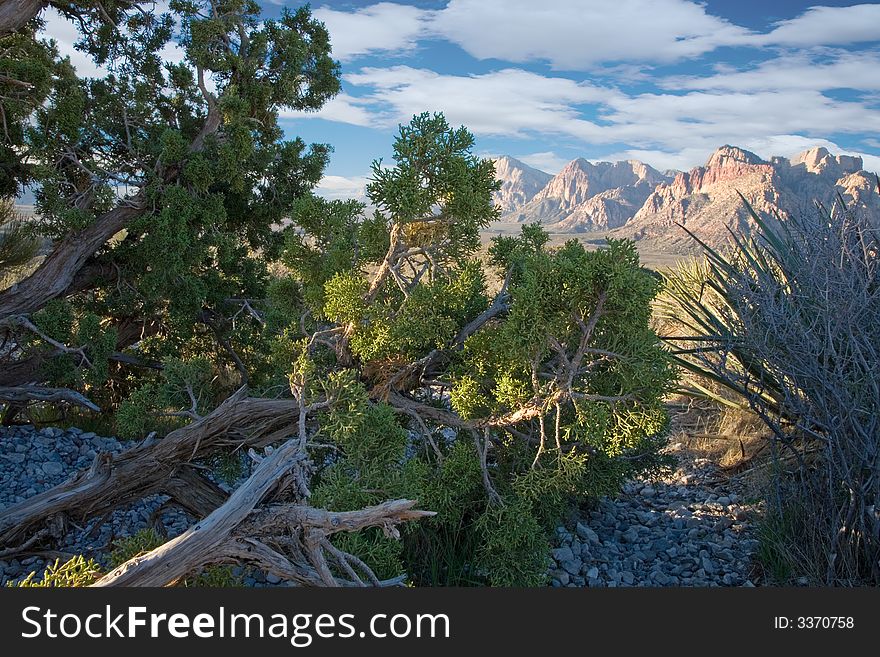 The mountains of Red Rock Canyon, Nevada early in the morning.