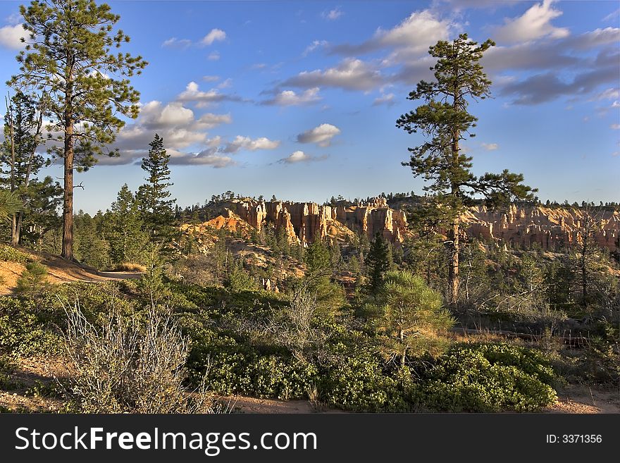 A picturesque corner in Bryce canyon in state of Utah in the USA. A picturesque corner in Bryce canyon in state of Utah in the USA