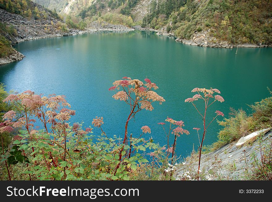 Song-Pin valley is a beautiful valley lies in the north-west of Sichuan P.R.China.