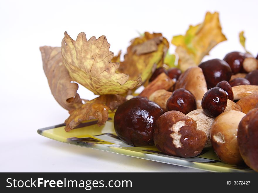 Boletus and leaves on plate