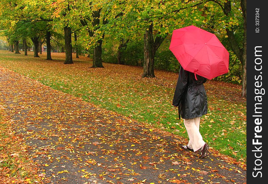 A woman with a dark coat and a bright red umbrella on a walkaway of a park covered with fallen orange leaves. A woman with a dark coat and a bright red umbrella on a walkaway of a park covered with fallen orange leaves.