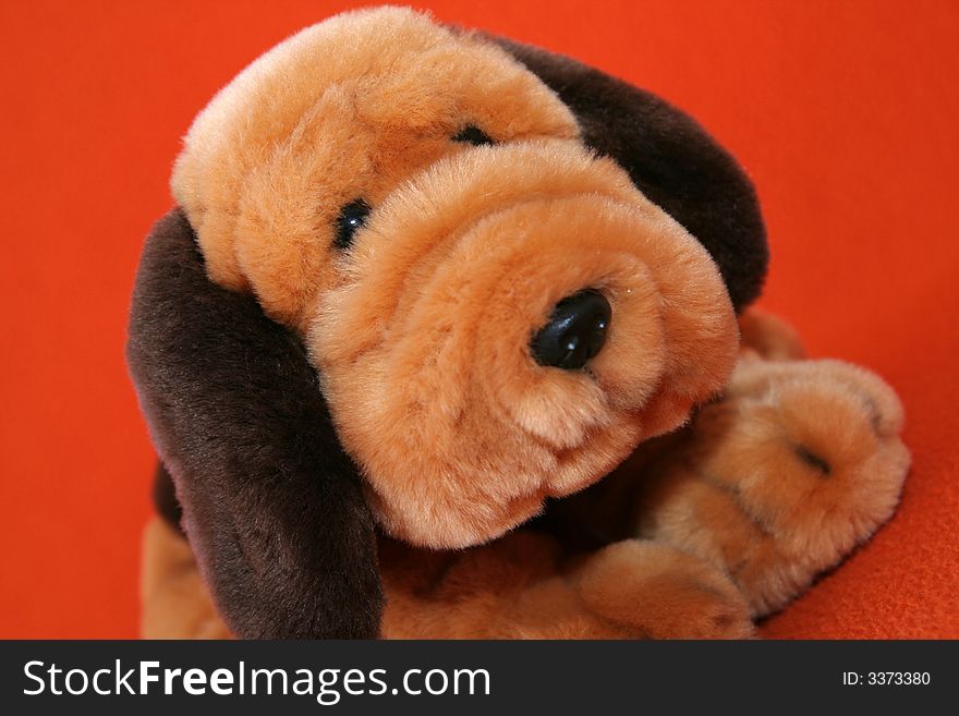 Plush dog against dark orange background. Plush dog against dark orange background