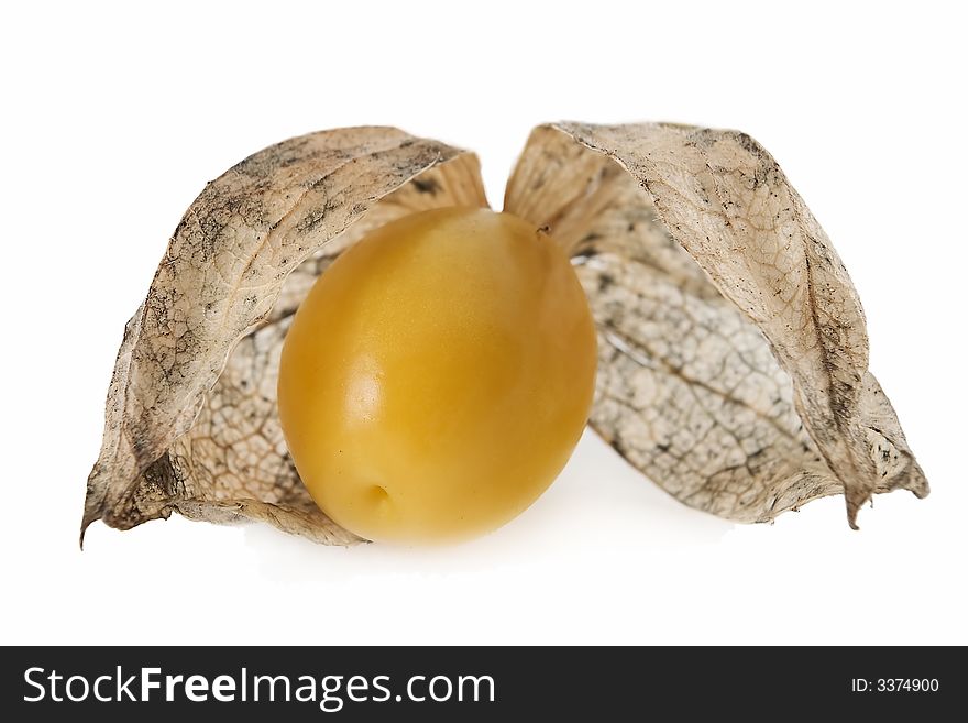 Physalis fruit isolated on white.