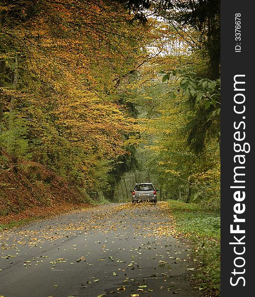 Car Drives Down Autumn Road