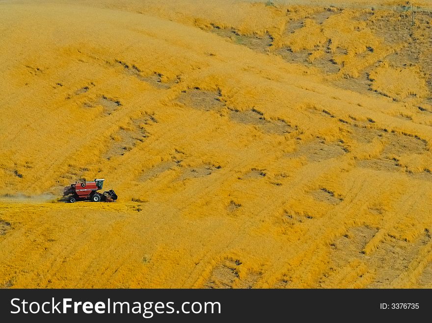 Harvester at work in a crop field in Italy. Harvester at work in a crop field in Italy