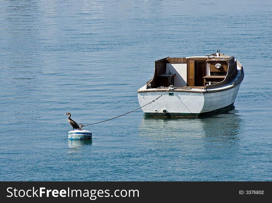 Small white boat with bird on buoy. Small white boat with bird on buoy