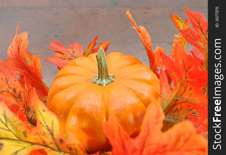 A small pumpkin nestled in autumn leaves. A small pumpkin nestled in autumn leaves.