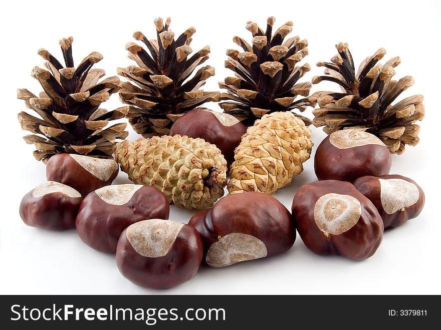 Pine cones and nuts of a chestnut photographed on a white background. Pine cones and nuts of a chestnut photographed on a white background