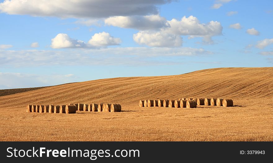 Harvested Bales lined up on a hillside in Autumn. Harvested Bales lined up on a hillside in Autumn.