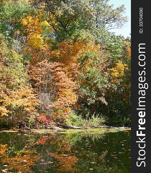 Autumn mood with multicolored trees reflected in a pond
