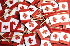 Canada Red And White Maple Leaf National Toothpick Flags - Horizontal. Stock Image