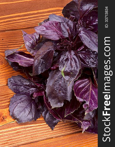 Bunch of Perfect Fresh Purple Basil Leaves closeup on Wooden Background