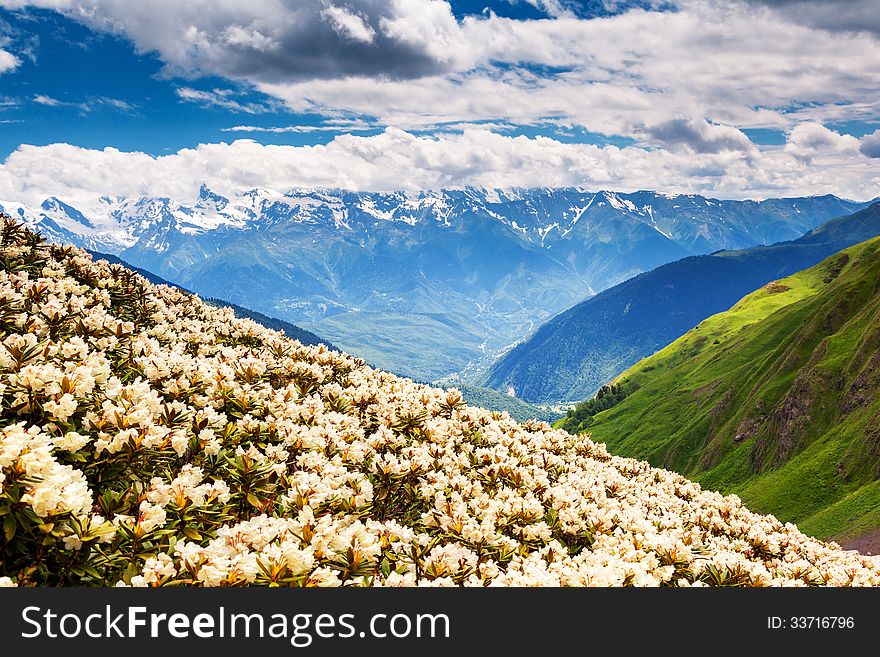 Beautiful view of alpine meadows. Upper Svaneti, Georgia, Europe. Caucasus mountains. Beauty world. Beautiful view of alpine meadows. Upper Svaneti, Georgia, Europe. Caucasus mountains. Beauty world.