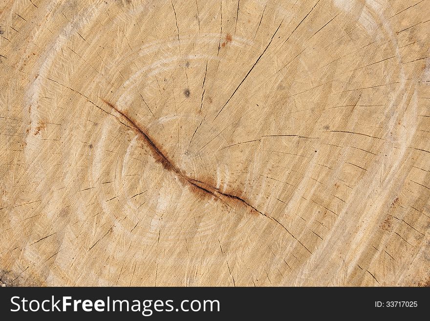 Wood texture circle broken chopping