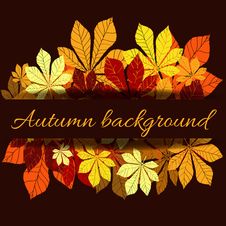 Leaf Chestnut Collection - Vector Silhouette Royalty Free Stock Images Leaf Chestnut Collection - Vector Silhouette Royalty Free Stock Images