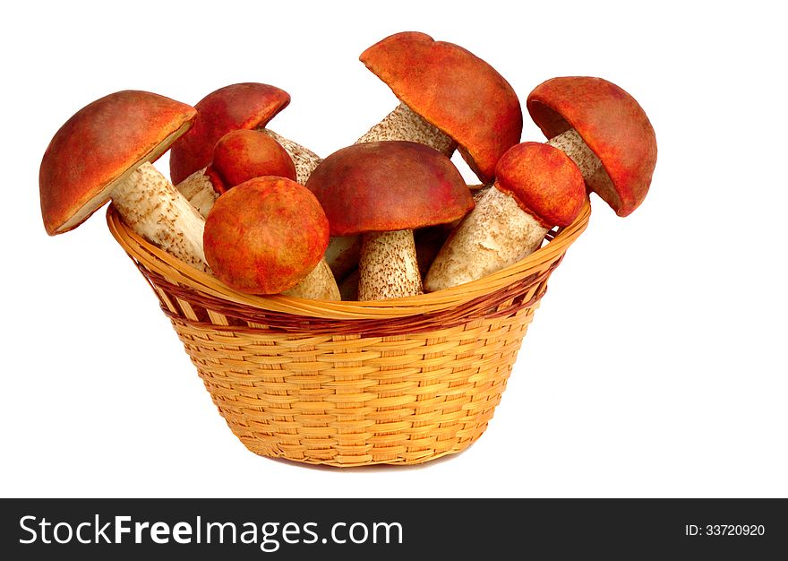 Strong white mushrooms in a wicker basket. Presented on a white background. Strong white mushrooms in a wicker basket. Presented on a white background.