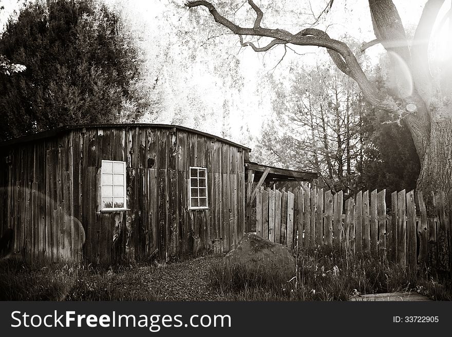 A black and white image of an old wooden outbuilding located on a farm in Colorado. The sun is shining through a large Willow tree creating dramatic sun flare. A black and white image of an old wooden outbuilding located on a farm in Colorado. The sun is shining through a large Willow tree creating dramatic sun flare.