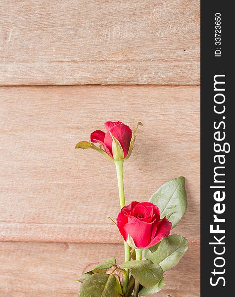 Red roses on old wood background