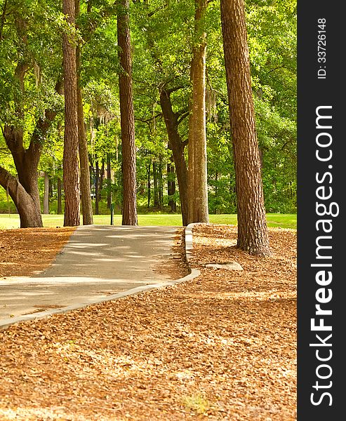 Empty cart path in a golf course