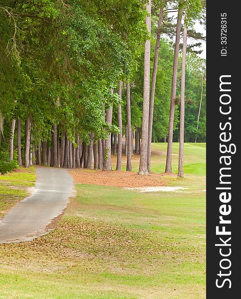 Empty cart path in a golf course