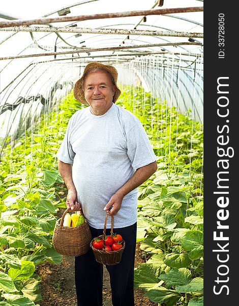 elderly man vegetable garden