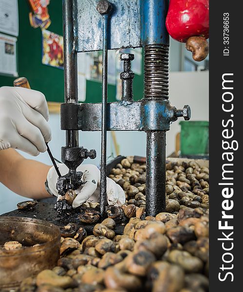 Cashew nut cracking with metal hand presser