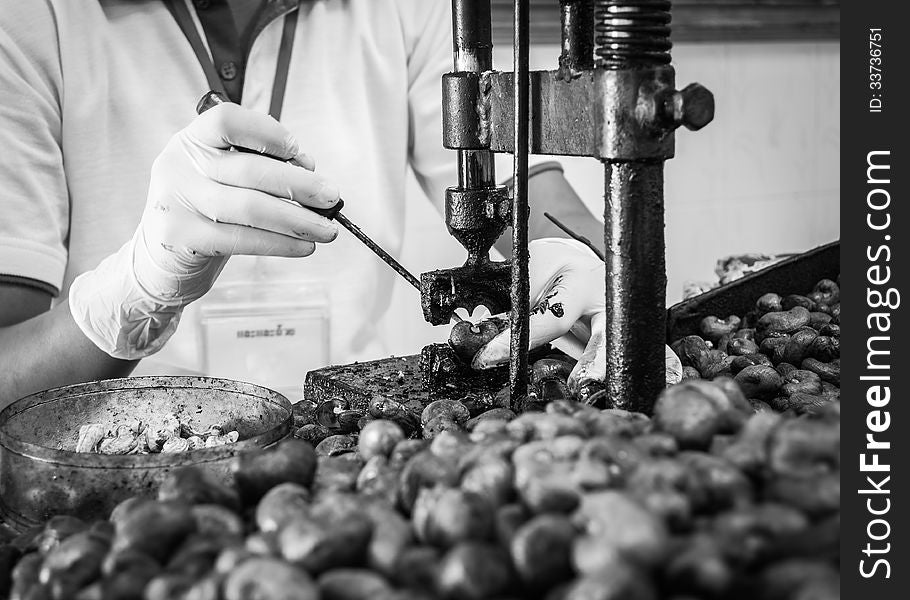 Cashew nut cracking with metal hand presser