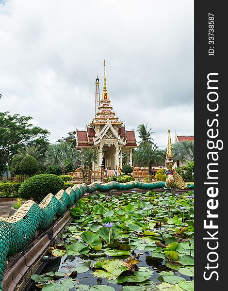 Pond of lotus in front of crematorium at chalong temple