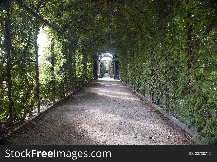 Green park way in the city. Green park way in the city