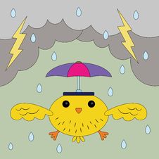 Bird In A Storm Royalty Free Stock Photos Bird In A Storm Royalty Free Stock Photos