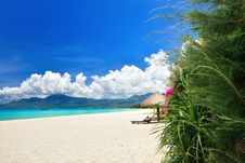 Tropical Paradise Beach Stock Image